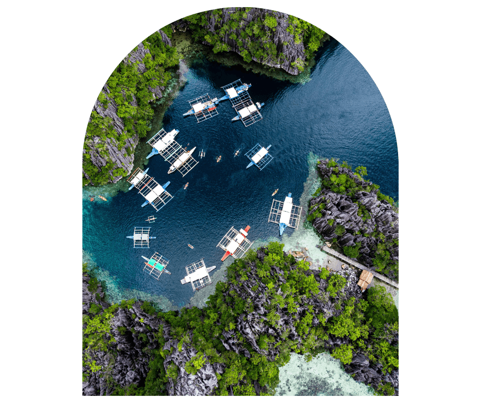 pacific tours agency in kothrud pune 