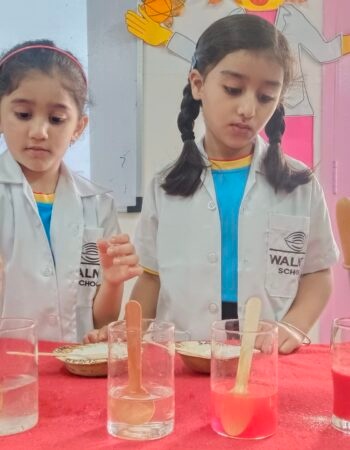 शिवणे-वॉलनट स्कूलमधील कोथरूडजवळील सीबीएसई सर्वोत्तम शाळा